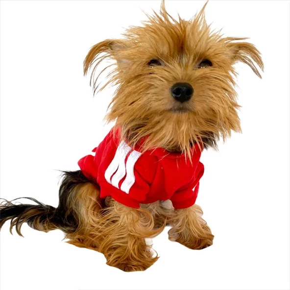 Kırmızı Adidog Kapşonlu Köpek Sweatshirt Köpek Kazağı - 7