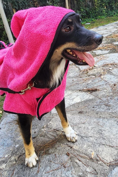 2'li Pamuklu ve Kapüşonlu Köpek Bornozu - 3