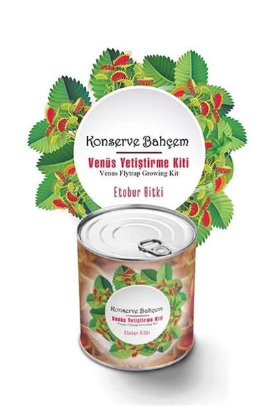 BUFFER® Konserve Bahçem Venüs Et Obur Bitki Yetiştirme Kiti - 2