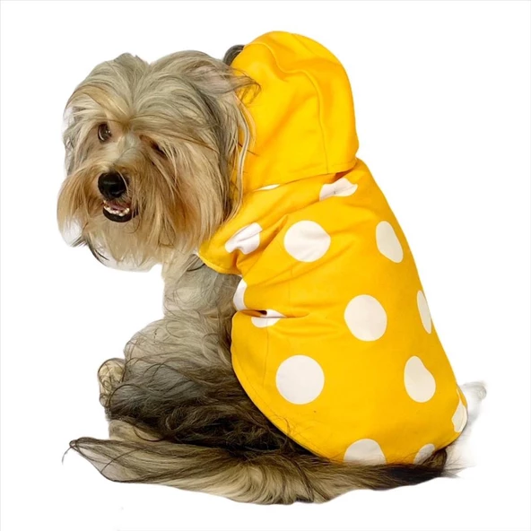 Puantiyeli Sarı Yağmurluk Kapşonlu  Köpek Yağmurluğu - 2