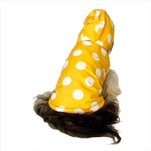 Puantiyeli Sarı Yağmurluk Kapşonlu  Köpek Yağmurluğu - 3