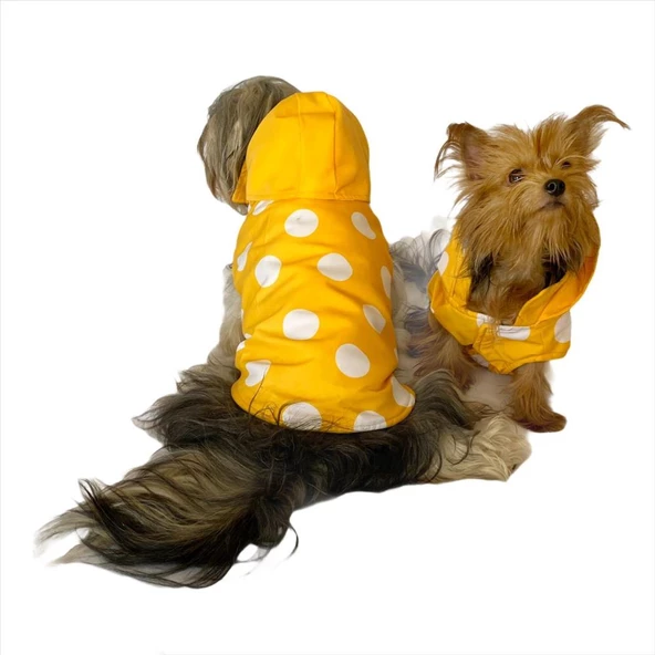 Puantiyeli Sarı Yağmurluk Kapşonlu  Köpek Yağmurluğu - 5