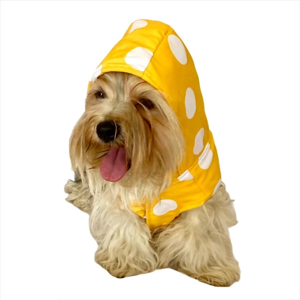 Puantiyeli Sarı Yağmurluk Kapşonlu  Köpek Yağmurluğu