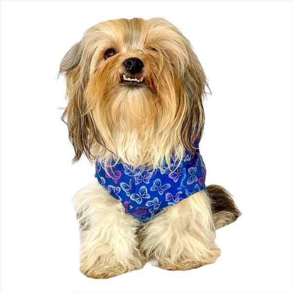 Kelebek Desenli Yağmurluk Kapşonlu  Köpek Yağmurluğu - 9