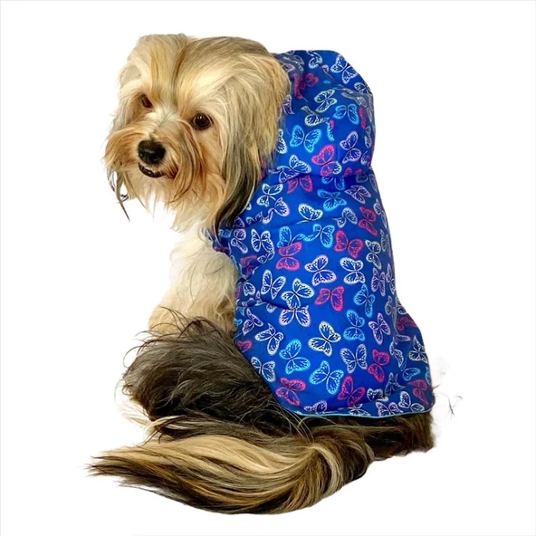 Kelebek Desenli Yağmurluk Kapşonlu  Köpek Yağmurluğu - 4