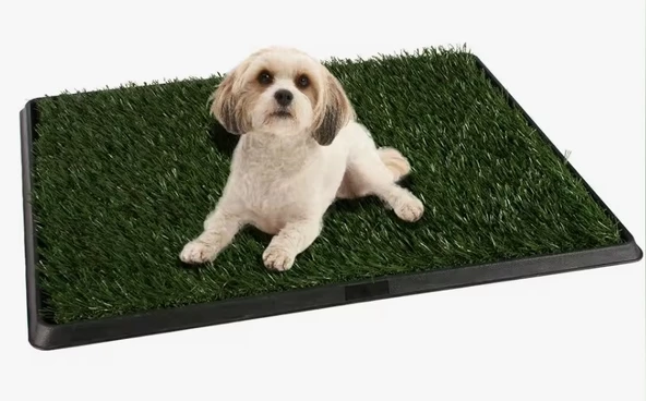 Yavru Köpek Tuvalet Eğitim Parkı 3 Katmanlı - 45Cm x 32 Cm - 2