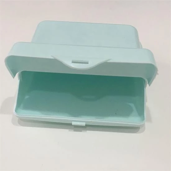 Çanta İçi Hijyenik Gizli Kilit Kapaklı Ped Saklama Taşıma Kutusu (4549) - 5