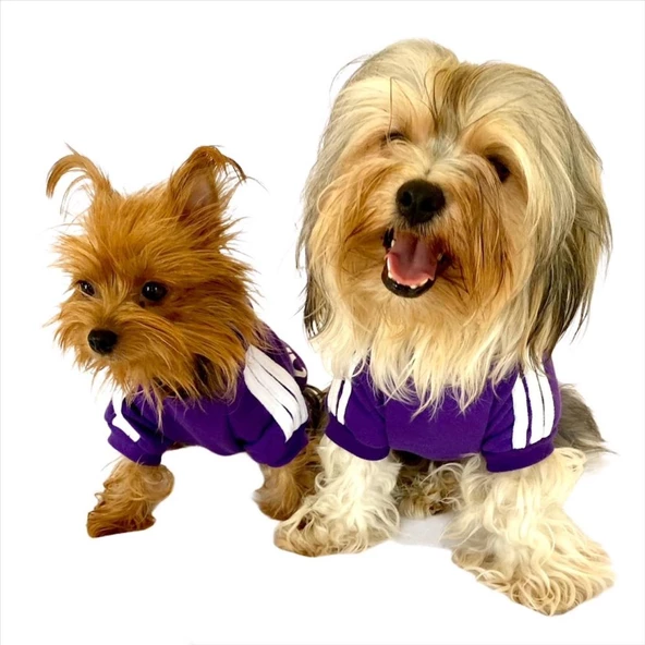 Mor Adidog Kapşonlu Köpek Sweatshirt Köpek Kazağı - 9