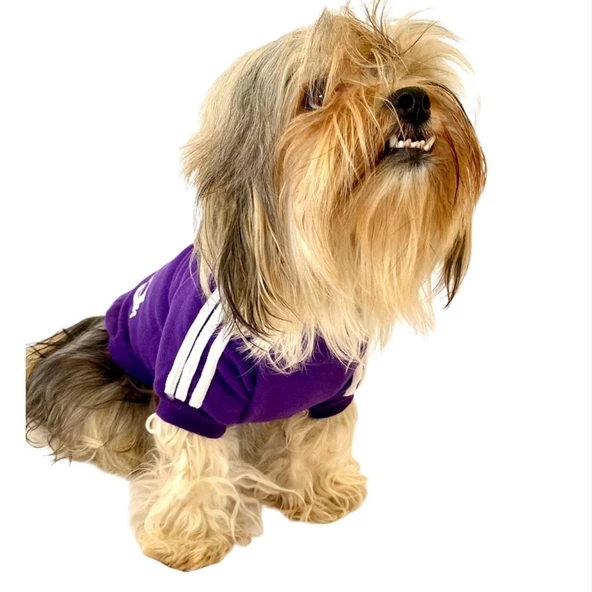 Mor Adidog Kapşonlu Köpek Sweatshirt Köpek Kazağı - 7