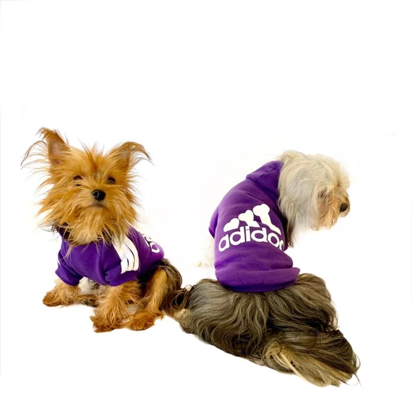 Mor Adidog Kapşonlu Köpek Sweatshirt Köpek Kazağı - 12