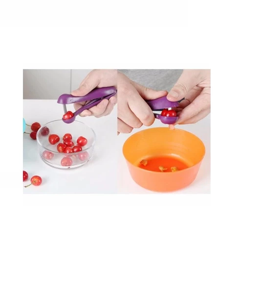 Zeytin Çekirdeği Çıkartma Aparatı - Resim 3