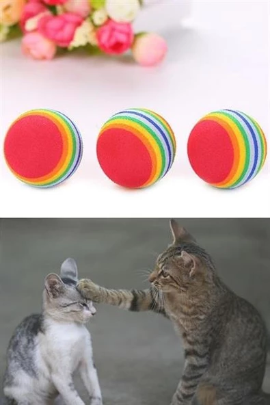 Petinka Gökkuşağı Sünger Kedi Köpek Çiğneme - 8