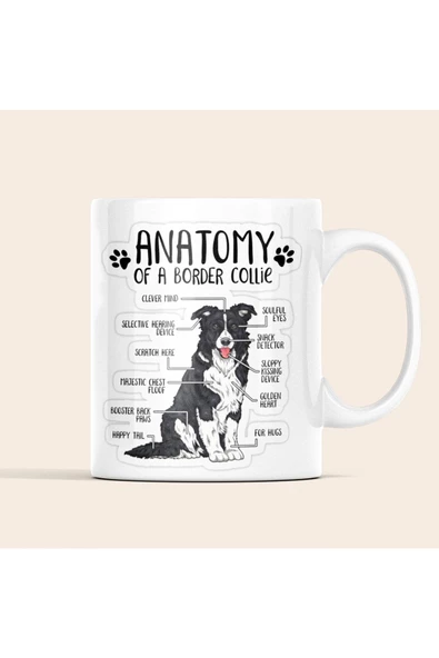Border Collie Köpekli Kupa