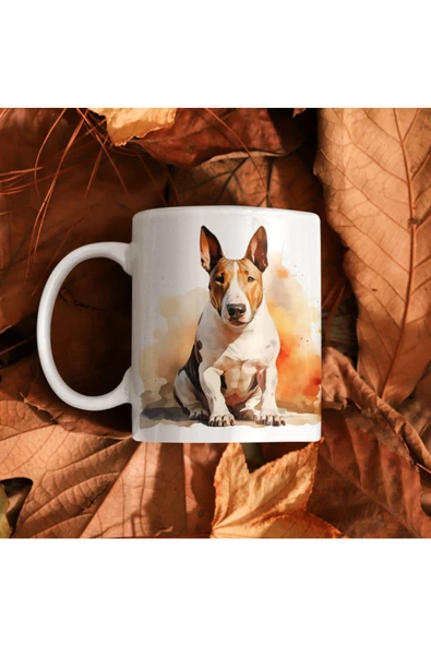 BULL TERRIER Kupa - 2