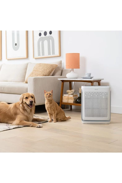 Levoit   Vital 200S Pro Akıllı Gerçek HEPA Hava Temizleme Cihazı - 4