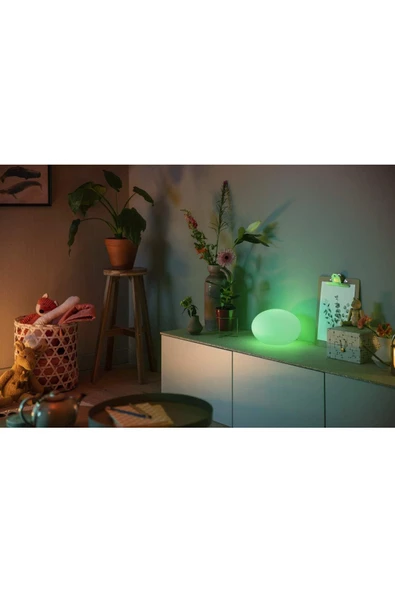 Philips   HueWCA Flourish Akıllı Masa Lambası - 5