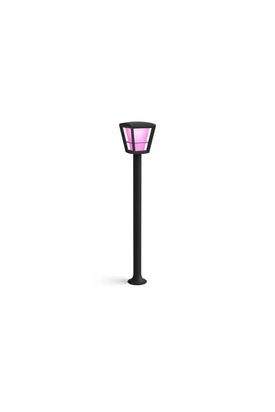 Philips   Hue WCA Econic Dış Mekan Direk Lamba 1x15W - 2