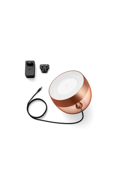 Philips   Hue Iris - Copper (Special Edition) - 2
