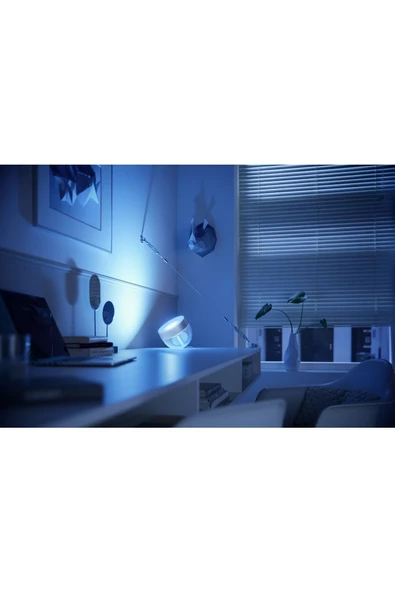 Philips   Hue Iris - Silver (Special Edition) - 4
