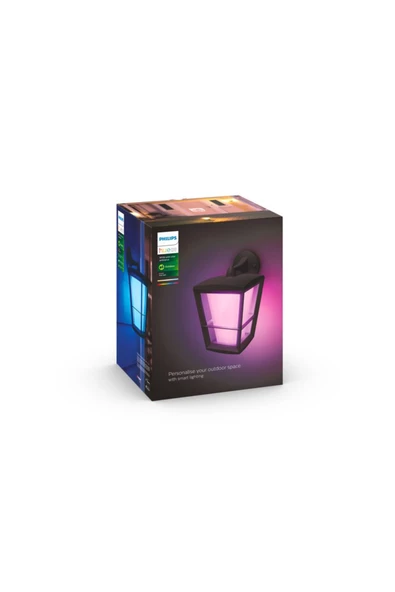 Philips   Hue WCA Econic Dış Mekan Aşağı Yönlü Duvar Lambası 1x15W