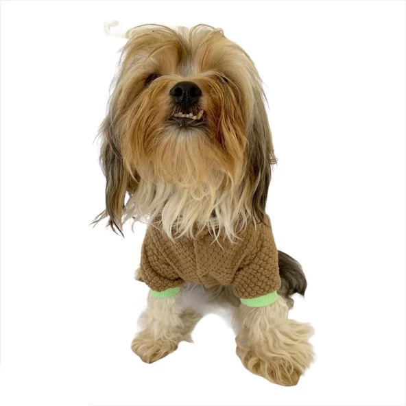 Trio Flower Brown Köpek Tulumu Köpek Kıyafeti - 4