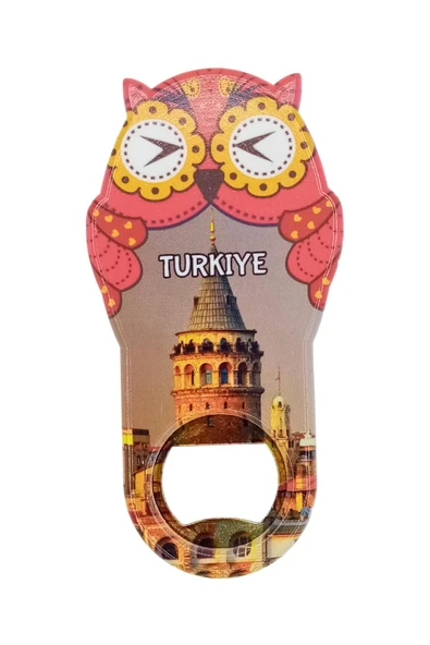 Türkiye Temalı Baykuş Magnet Kapak Açacak - Resim 3
