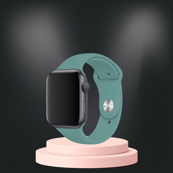 Apple Watch  ultra Silikon Kordon 42-44-45-49 Mm/L Uyumlu KAKTÜS