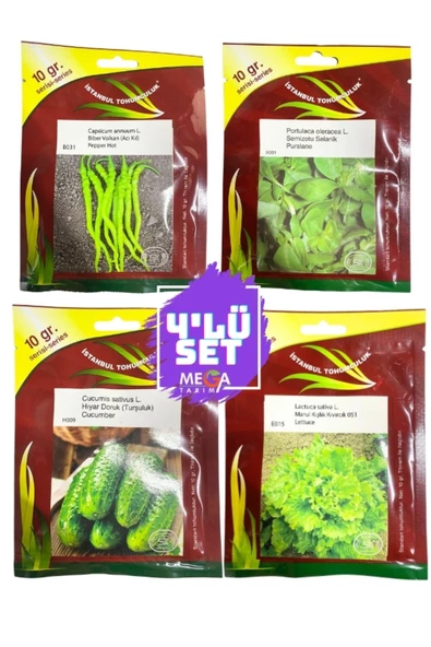 İstanbul tohumculuk 4'LÜ TOHUM SETİ ( ACI KIL BİBER- İRİ SEMİZOTU-TURŞULUK HIYAR-KIŞLIK KIVIRCIK MARUL) 10 GR'LIK PAKET ürün görseli