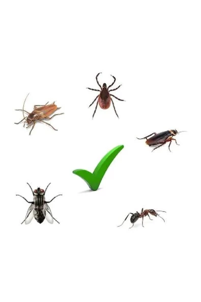 Bayer Kothrine AL Kullanıma Hazır Haşere İlacı 1000Gr - 2