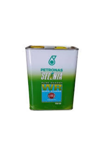 SELENIA 5w30 Motor Yagı FIAT ORJINAL