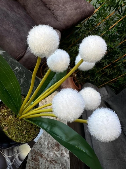 Nettenevime Yapay Çiçek Beyaz Pompon Siyah Saksıda Dekoratif Yapay Çiçek 30*20cm - Resim 4