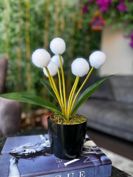 Nettenevime Yapay Çiçek Beyaz Pompon Siyah Saksıda Dekoratif Yapay Çiçek 30*20cm - Resim 8