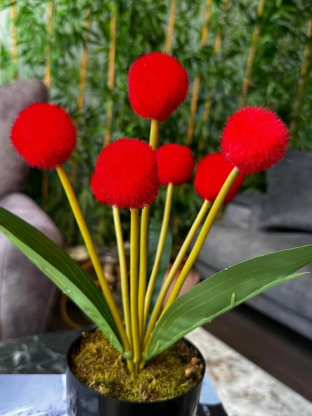 Yapay Çiçek Kırmızı Pompon Siyah Saksıda Dekoratif Yapay Çiçek 30*20cm - 4