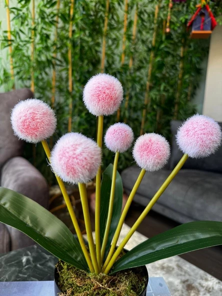Yapay Çiçek Kırmızı Açık Pompon Siyah Saksıda Dekoratif Yapay Çiçek 30*20cm - 3