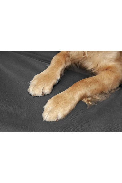 Oto Araç Içi Kedi Köpek Kılıfı Araba Koltuk Koruyucu Örtü Köpek Aksesuarı Petshop Köpek - 3