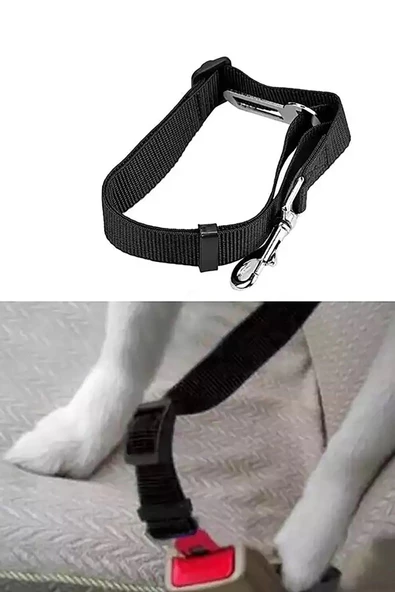 Araba Köpek Tasması Emniyet Kemeri Oto Evcil Hayvan Boyun Araç Tasması Kemeri - 5