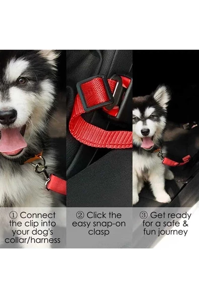 Araba Köpek Tasması Emniyet Kemeri Oto Evcil Hayvan Boyun Araç Tasması Kemeri - 4