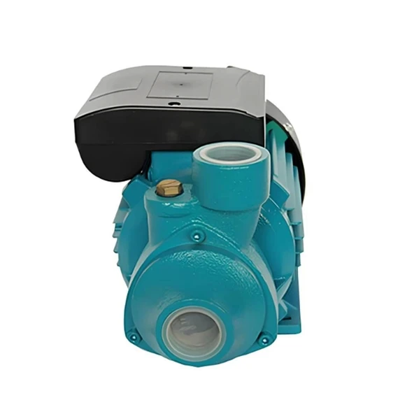 Duffmart PM80 Periferik Pompa - Resim 5