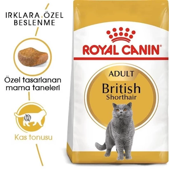 Royal Canin British Shorthair Yetişkin Kuru Kedi Maması 10 Kg - Resim 3