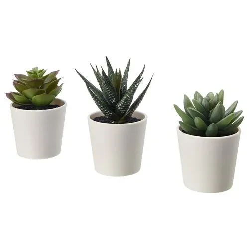 IKEA Fejka Kaktüs 3 Lü Set Yapay Bitki Çiçek Saksılı Kaktüs 6 Cm