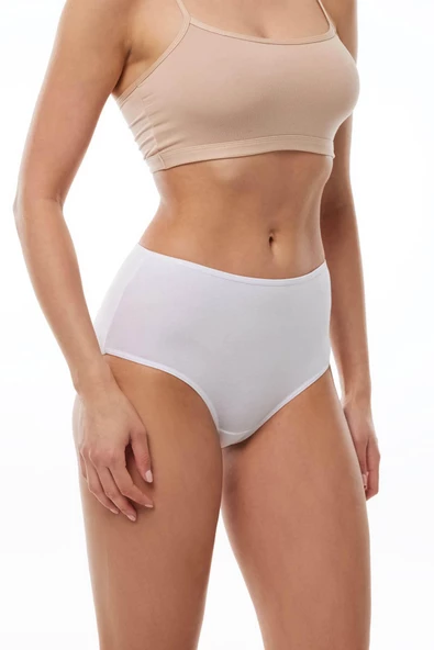 Malabadi 1030 4'Lü Paket Kadın Modal Yüksek Bel Battal Slip & Külot - Resim 2