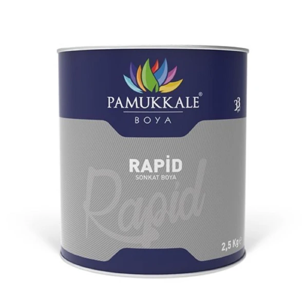 Pamukkale 1510 Rapid Endüstriyel Boya 2.5 Kg Mat Siyah