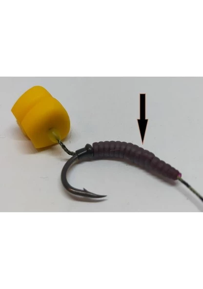 Renat Carp İğne Gizleyici Solucan - 2
