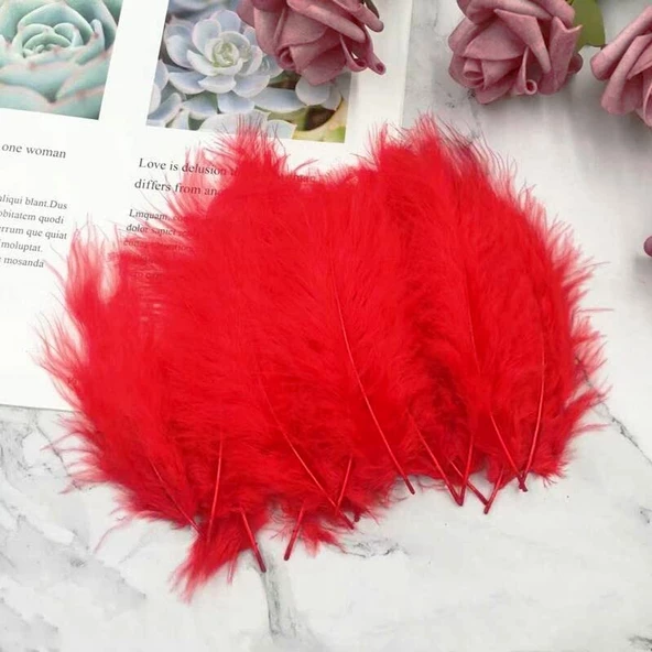 100 ADET KIRMIZI KUŞ TÜYÜ DECOR VIP RED BIRD FEATHER KIRMIZI ŞEFFAF BALON TÜYÜ KIRMIZI SÜSLEME TÜYÜ ürün görseli