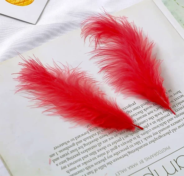 100 ADET KIRMIZI KUŞ TÜYÜ DECOR VIP RED BIRD FEATHER KIRMIZI ŞEFFAF BALON TÜYÜ KIRMIZI SÜSLEME TÜYÜ - Resim 2
