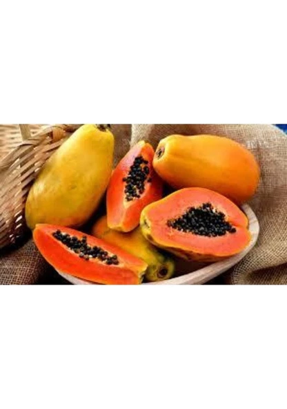 10 Adet Tohum Nadir Bulunan Tropikal Papaya Meyve Ağaç Tohumu Hediye Tohumlu ürün görseli 1