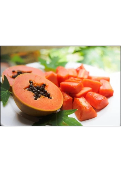 10 Adet Tohum Nadir Bulunan Tropikal Papaya Meyve Ağaç Tohumu Hediye Tohumlu - Resim 2