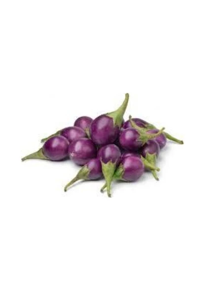 20 Adet Tohum Nadir İthal Tayland Mini Mor Patlıcan Tohumu Saksı Toprak Hediye - Resim 2