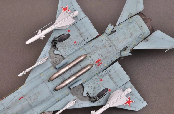 Su-15 Tm Flagon PM Model Demonte Plastik Uçak Maket Kiti - 6