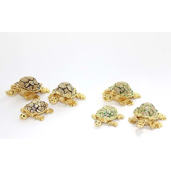 Taşlı 3'Lü Kaplumbağa - Resim 2